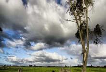 红蓝之战即将打响，球迷热血沸腾