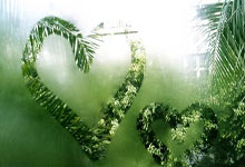 老鹰队斯廷主力误伤缺阵两周