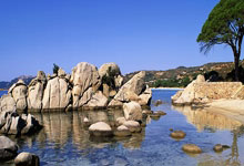 红蓝之战即将打响，球迷热血沸腾