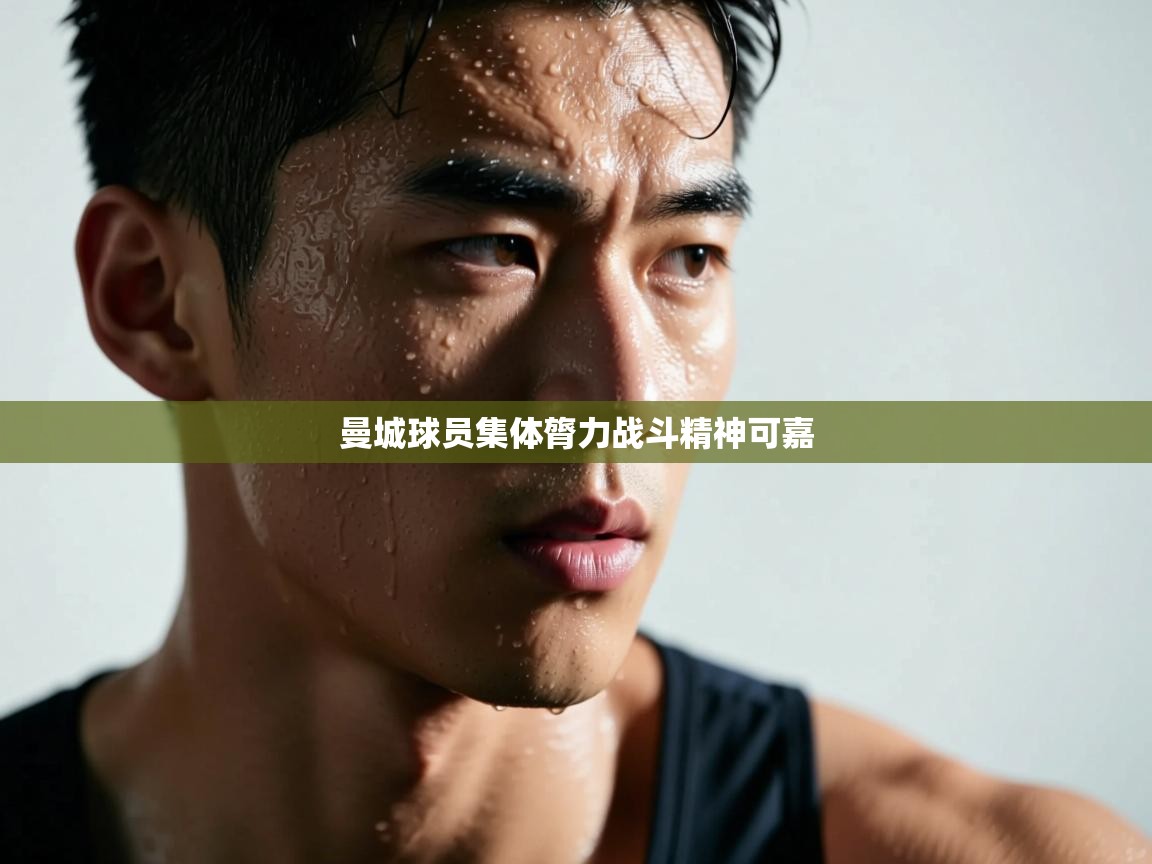 曼城球员集体膂力战斗精神可嘉  第2张