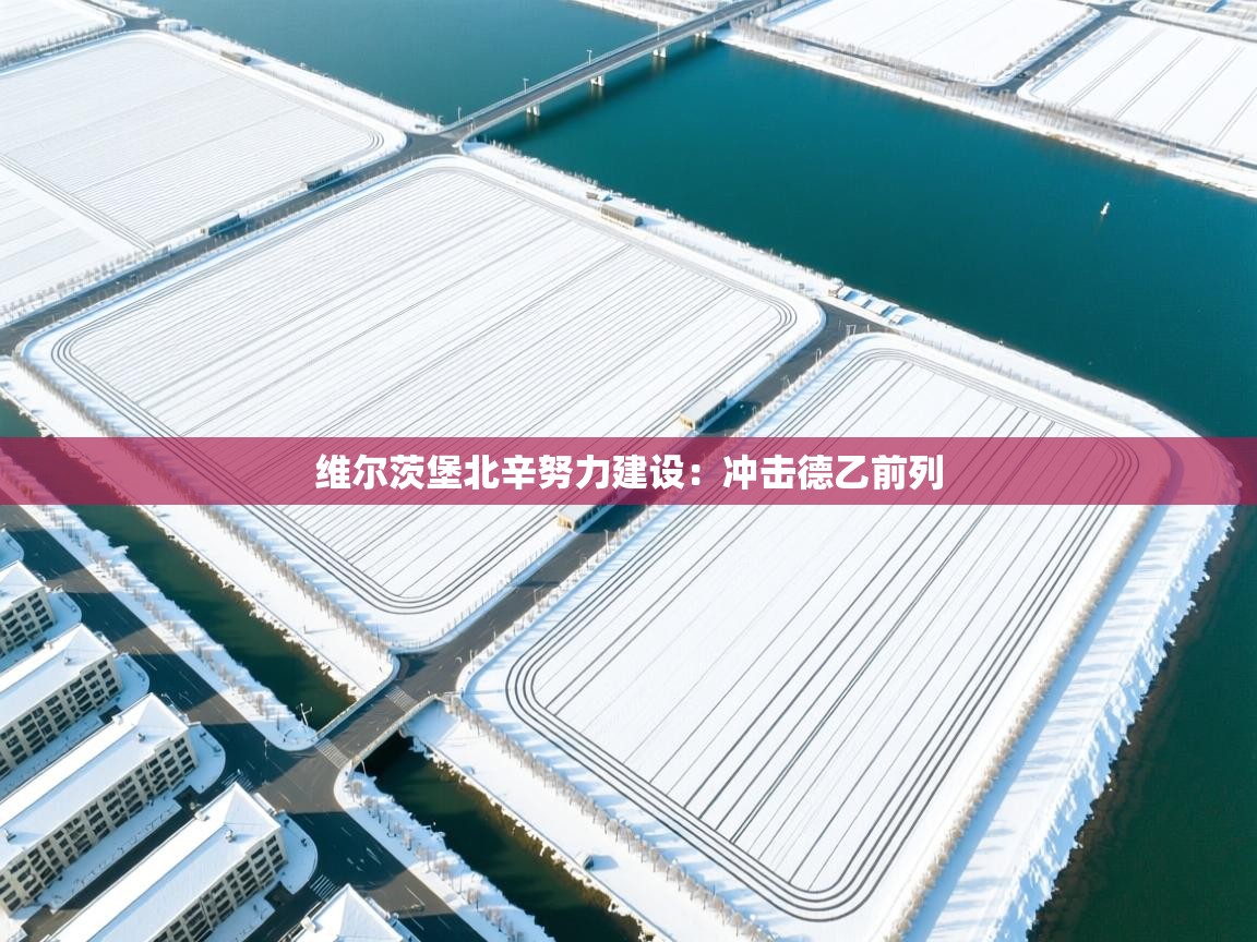 维尔茨堡北辛努力建设：冲击德乙前列  第1张