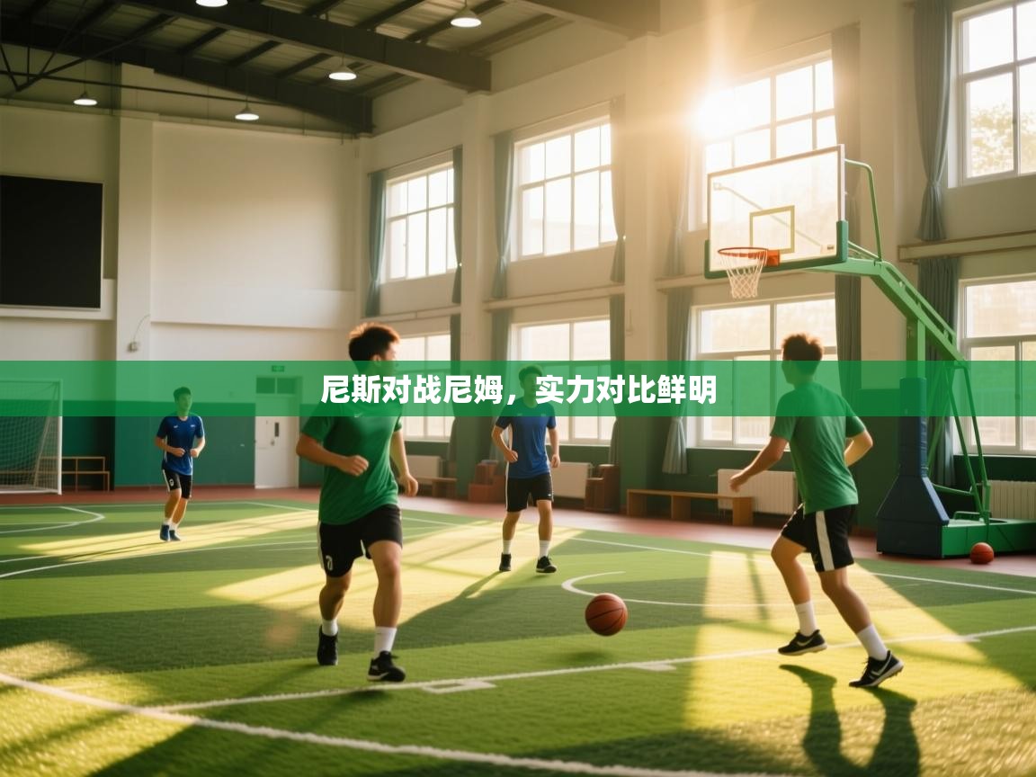 尼斯对战尼姆，实力对比鲜明  第1张