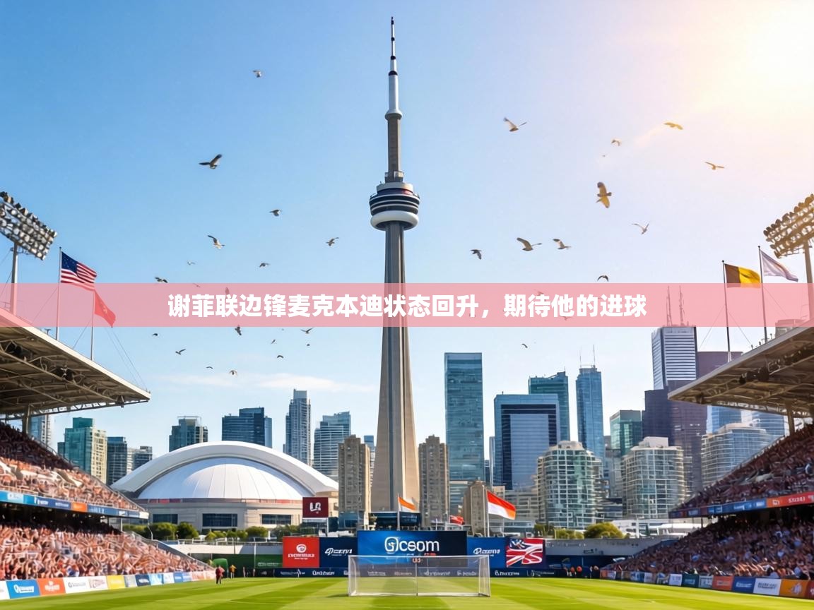 谢菲联边锋麦克本迪状态回升，期待他的进球  第2张